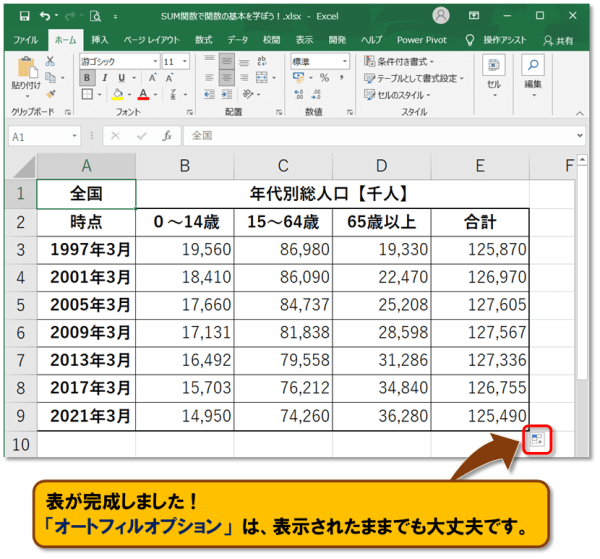 オートフィルオプション