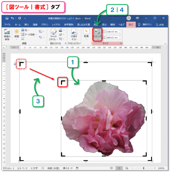 背景の削除